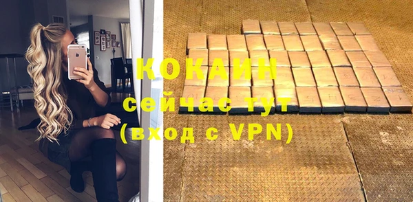 прущие грибы Балахна