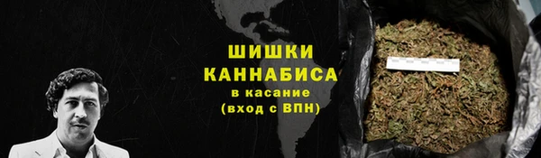 прущие грибы Балахна