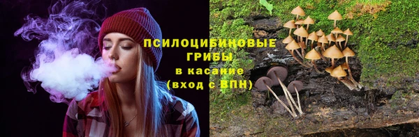 прущие грибы Балахна