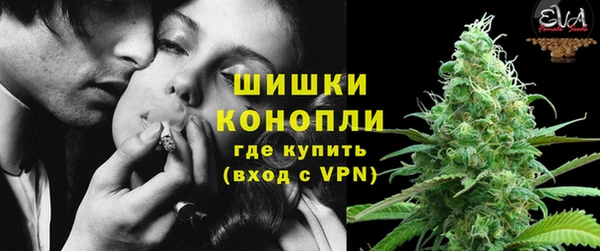 ПСИЛОЦИБИНОВЫЕ ГРИБЫ Балабаново