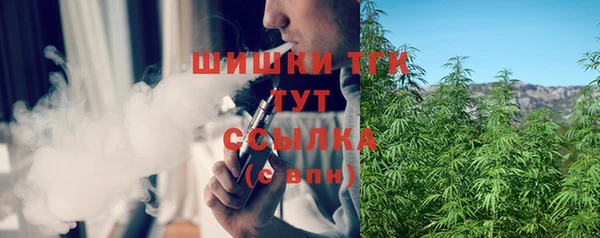 прущие грибы Балахна