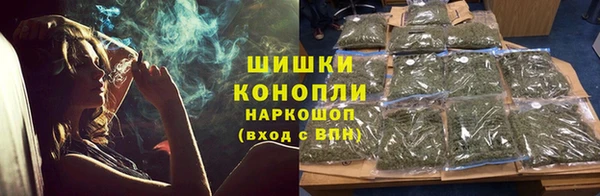 ПСИЛОЦИБИНОВЫЕ ГРИБЫ Балабаново