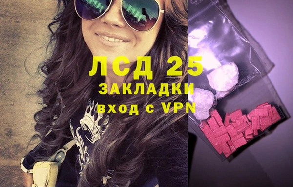 прущие грибы Балахна
