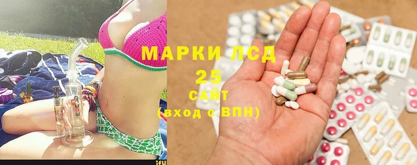 гашик Баксан